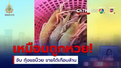 เหมือนถูกหวย! จับ กุ้งแชบ๊วย ขายได้เกือบล้านบาท