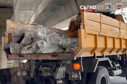 ฝังกลบปลาน็อกน้ำบึงมักกะสัน ขุดบ่อฝังปลาแล้วกว่า 2 ตัน