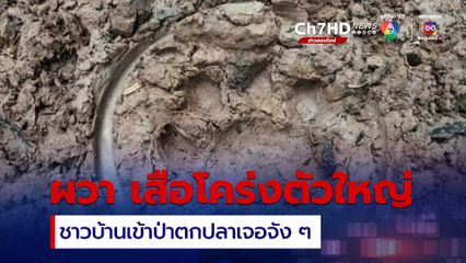 ชาวบ้านผวา ! เข้าป่าตกปลากลางดึกเจอเสือโคร่งขโมยถังใส่ปลา แถมเดินวนไปมาไม่ให้ออกจากป่า