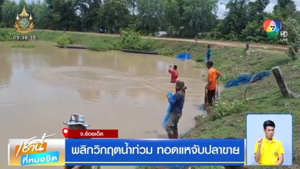 พลิกวิกฤตน้ำท่วม ทอดแหจับปลาขาย