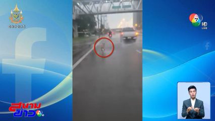 แทบขาดใจ สุนัขถูกทิ้งวิ่งตากฝน