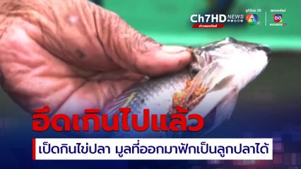 ดร.อนันต์ค้นงานวิจัยไข่ปลาหมอคางดำอึดจริง