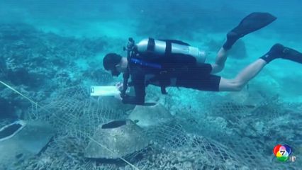 นักวิทยาศาสตร์พบ ดาร์ก ออกซิเจน ใต้ทะเลลึก