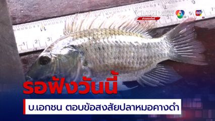 จับตา บ.เอกชน เข้าให้ข้อมูล กมธ.อว. แจงปมปลาหมอคางดำ