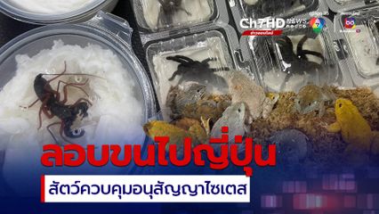 ศุลกากร จับชายญี่ปุ่น ลอบขนสัตว์ควบคุมตามอนุสัญญาไซเตส  ปลายทางกรุงโตเกียว