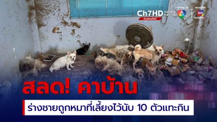 พบศพชายเสียชีวิตในบ้าน หมาที่เลี้ยงไว้นับ 10 ตัวแทะกินร่าง