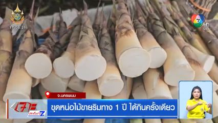 ขุดหน่อไม้ขายริมทาง 1 ปี ได้กินครั้งเดียว