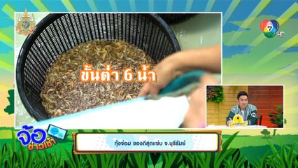 กุ้งจ่อม ของดีสุดแซ่บ จ.บุรีรัมย์