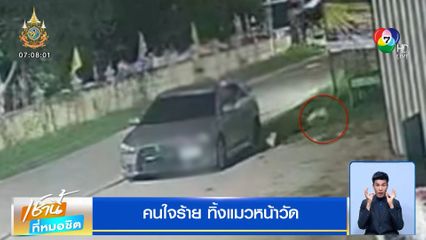 สะเทือนใจคนรักสัตว์ คนใจร้ายทิ้งแมวหน้าวัด