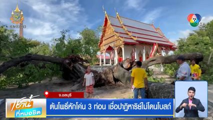 ต้นโพธิ์หักโค่น 3 ท่อน เชื่อปาฏิหาริย์ไม่โดนโบสถ์
