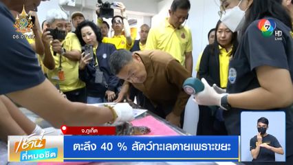 ตะลึง 40% สัตว์ทะเลตายเพราะขยะ จ.ภูเก็ต