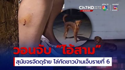 ชาวบ้านวอนหน่วยงานจับ “ไอ้สาม” สุนัขจรจัดดุร้ายกัดชาวบ้านเจ็บเป็นรายที่ 6
