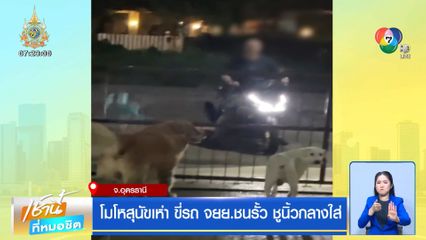 โมโหสุนัขเห่า ขี่รถ จยย.ชนรั้ว ชูนิ้วกลางใส่ จ.อุดรธานี