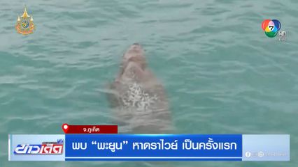 พบ พะยูน หาดราไวย์ เป็นครั้งแรก