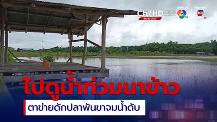 น้ำท่วมนาข้าว ชายวัย 77 ปี ออกไปดู ตกเย็นไม่กลับบ้าน ญาติออกตามหา เจอจมน้ำดับ