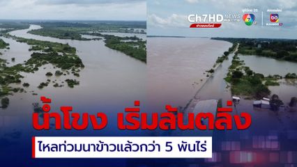 น้ำโขงเริ่มล้นตลิ่ง ล่าสุดไหลท่วมนาข้าวแล้วกว่า 5,000 ไร่ กระทบลำน้ำสาขาระบายช้า หลังน้ำโขงหนุน