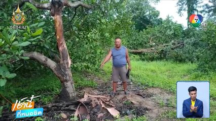 ชาวบ้านผวา โขลงช้างป่าบุกโรงเรียน-บ้าน