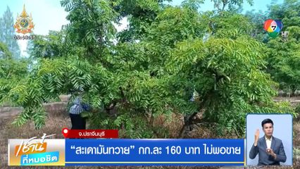 สะเดามันทวาย กก.ละ 160 บาท ไม่พอขาย