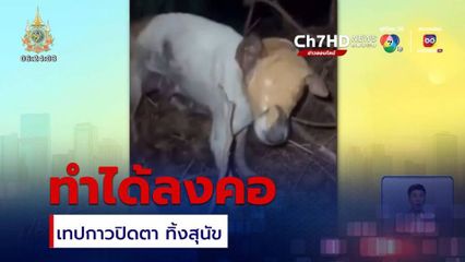 ทำได้ลงคอ เทปกาวปิดตา ทิ้งสุนัข