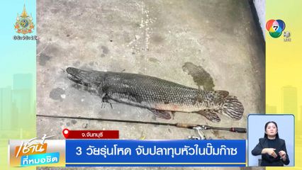 3 วัยรุ่นโหด จับปลาทุบหัวในปั๊มก๊าซ