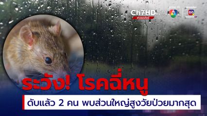 หน้าฝนระวังโรคฉี่หนู พบ 4 จังหวัดอีสานใต้ป่วยแล้ว 98 คน เสียชีวิตแล้ว 2 คน