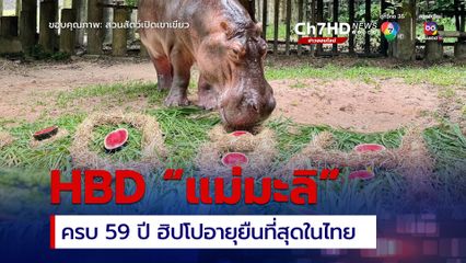 ฉลองวันเกิด “แม่มะลิ” อายุครบ 59 ปี  ฮิปโปฯ อายุยืนที่สุดในไทย