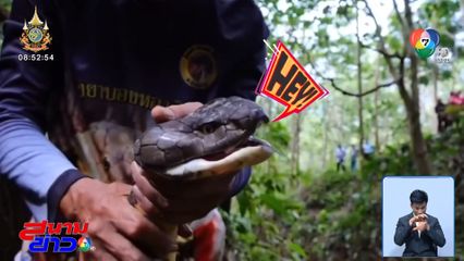 7 วัน 7 อย่าง : บองหลายักษ์