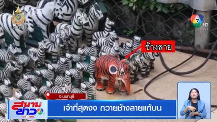 เจ้าที่สุดงง ถวายช้างลายแก้บน