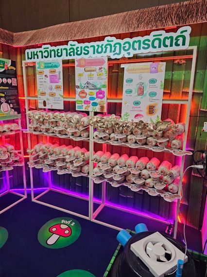 บพท. สานพลังโครงการวิจัยชุดประสานงานและบริหารจัดการงานวิจัยสู่การใช้ประโยชน์ ปลุกพลังนวัตกรสร้างชุมชนนวัตกรรมมั่นคง-มั่งคั่ง-ยั่งยืน