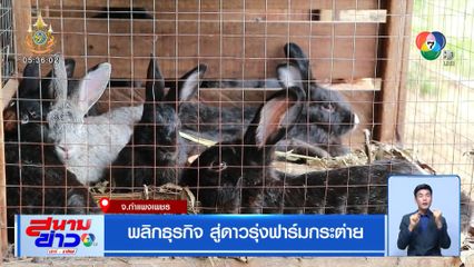 พลิกธุรกิจ สู่ดาวรุ่งฟาร์มกระต่าย