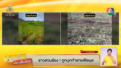 ชาวสวนร้อง ! ถูกบุกทำลายพืชผล