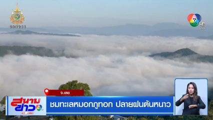 ชมทะเลหมอกภูทอก ปลายฝนต้นหนาว