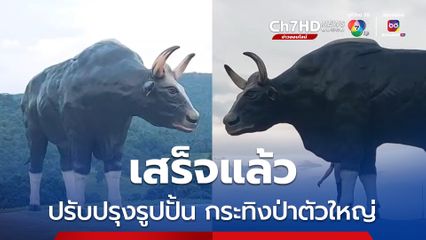 เขตห้ามล่าสัตว์ป่าเขาแผงม้า ปรับปรุงรูปปั้น กระทิงป่าตัวใหญ่ เสร็จสมบูรณ์แล้ว