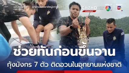 ช่วยทันก่อนถูกกิน “กุ้งมังกร” ติดอวนขบวนการทำประมงผิดกฎหมาย