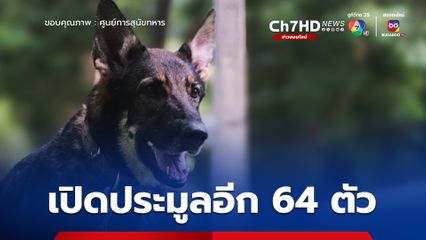 เตรียมเปิดประมูลศูนย์สุนัขทหาร ที่ไม่ผ่านเกณฑ์