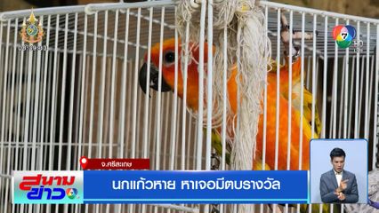 นกแก้วหาย หาเจอมีตบรางวัล