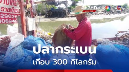 ชาวประมง "ประจวบคีรีขันธ์" จับปลากระเบนได้เกือบ 300 กิโลกรัม สร้างรายได้เป็นกอบเป็นกำ