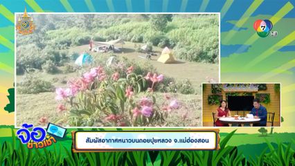 สัมผัสอากาศหนาวบนดอยปุยหลวง จ.แม่ฮ่องสอน