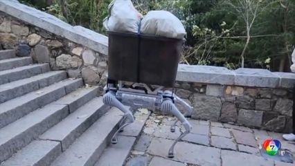 หุ่นยนต์สุนัขอัจฉริยะในจีน