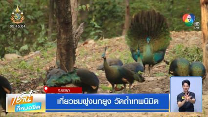 เที่ยวชมฝูงนกยูง วัดถ้ำเทพนิมิต