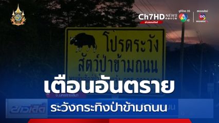 เตือนอันตราย ระวังกระทิงป่าข้ามถนน