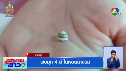 พบมุก 4 สี ในหอยนางรม จ.ชลบุรี