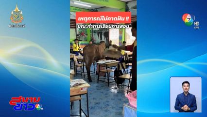 แต่ละมื้อแต่ละเดย์! น้องวัว บุกห้องเรียน