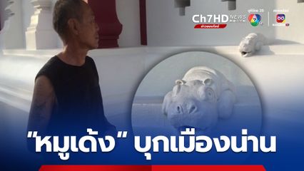 “หมูเด้ง” บุกเมืองน่าน วัดดังอายุกว่า 200 ปี โชว์รูปปั้นฮิปโปแคระ ติดข้างวิหาร ต้อนรับพุทธศาสนิกชน