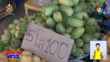 มะม่วงแก้วขมิ้น ตีตลาดชายแดนไทย