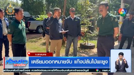 เตรียมออกหมายจับ แก๊งปล้นไม้พะยูง