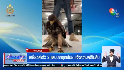 เหยี่ยวค่าตัว 2 แสนบาทถูกขโมย แจ้งความคดีไม่คืบ