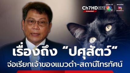 ฉากวางยาแมวในละคร ช่องดัง เรื่องถึงปศุสัตว์ จ่อเรียกเจ้าของแมวดำ-สถานีโทรทัศน์ เข้าให้ถ้อยคำ