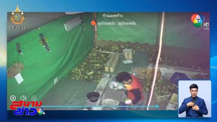 วอนโจรพัก หยุดขโมยมะพร้าวน้ำหอม