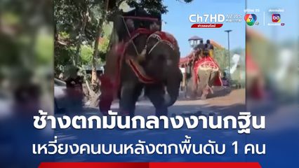 สลด! ช้างตกมันกลางขบวนแห่กฐินเหวี่ยงคนนั่งบนหลังตกพื้น-ทำร้ายซ้ำดับ 1 เจ็บ 1 คน